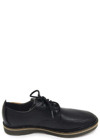 Чоловічі туфлі Hush Puppies (243032704)