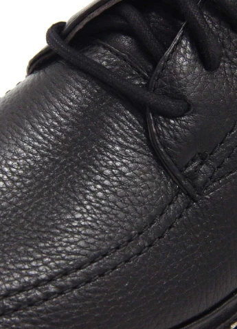 Чоловічі туфлі Hush Puppies (243032704)