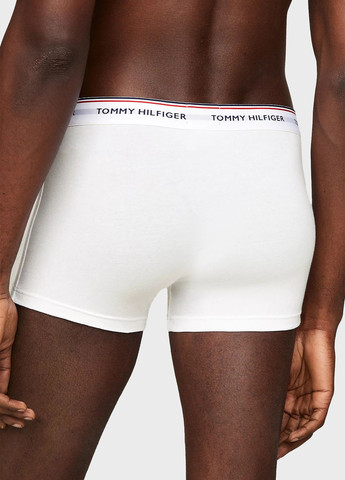 Труси (3 шт.) Tommy Hilfiger (315065280)