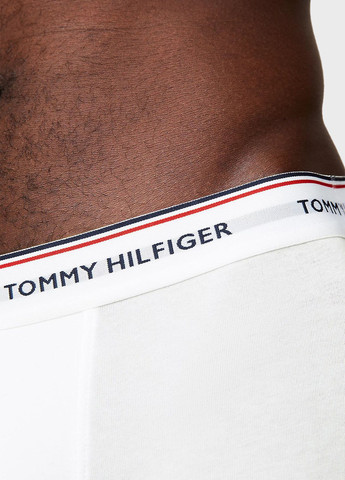 Труси (3 шт.) Tommy Hilfiger (315065280)