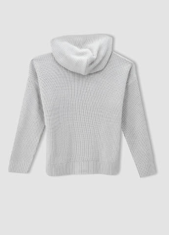 Світло-сірий демісезонний светр DeFacto