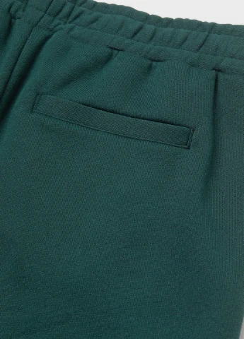 Штани H&M (252555926)