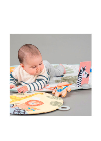 Розвиваючий музичний, 94х94х49 см Taf Toys (253483880)