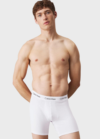 Труси (3 шт.) Calvin Klein (366292819)