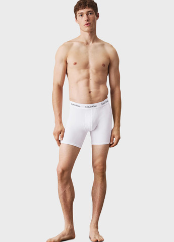 Труси (3 шт.) Calvin Klein (366292819)