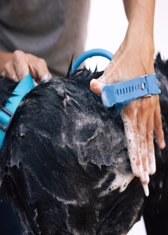 Рукавичка душ для мийки тварин Aqua щітка для собак і кішок (4412365) Francesco Marconi (215118374)