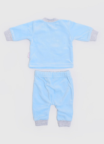 Блакитний демісезонний комплект (світшот, брюки) Фламинго