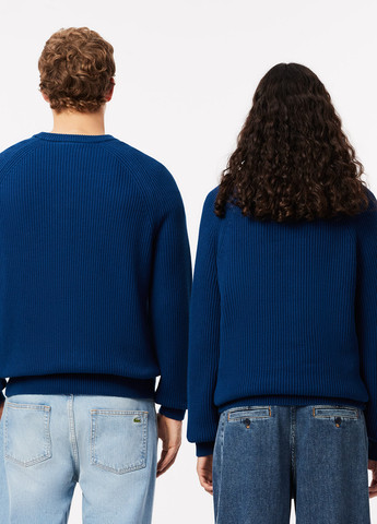 Джемпер Lacoste (329694410)