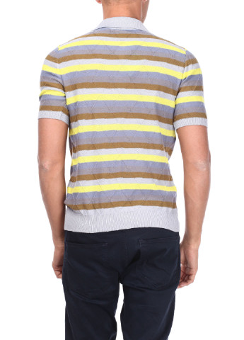 Цветная футболка-поло для мужчин Van Cliff в полоску