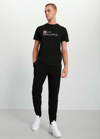 Черные спортивные демисезонные джоггеры брюки The North Face