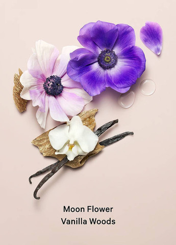 Лосьон Midnight Bloom, 236 мл Victoria's Secret (358314647)