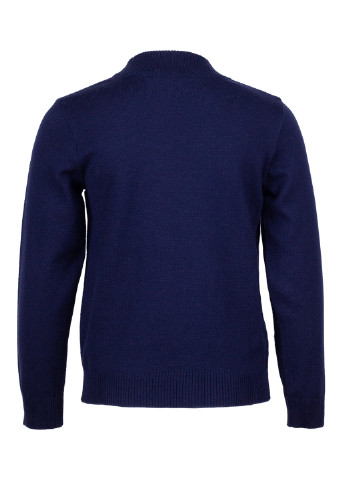 Синий демисезонный свитер Flash