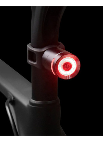 Фара ліхтар велосипедний задній велофара велогабарит (472907-Prob) Francesco Marconi (252358263)