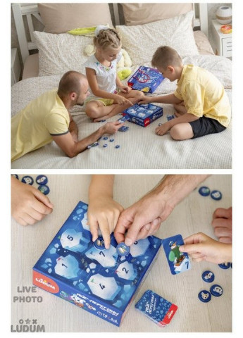 Настільна дитяча гра 6х20х20 см Ludum (253659861)