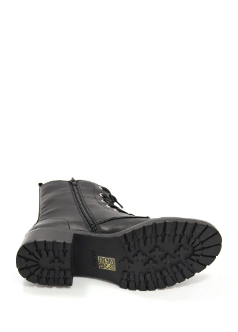 Жіночі черевики Aldo (246420981)