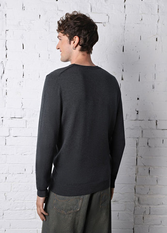 Темно-серый демисезонный джемпер джемпер Promin