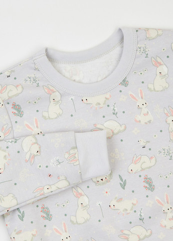 Светло-серая всесезон пижама (свитшот, брюки) свитшот + брюки Ляля