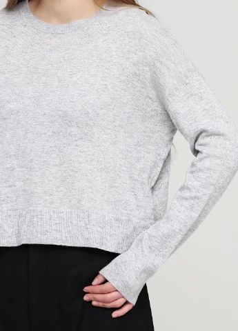 Світло-сірий демісезонний джемпер джемпер H&M