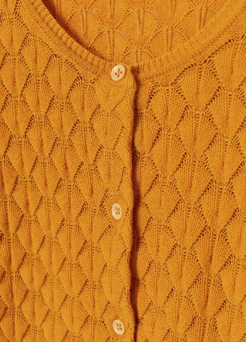 Кардиган демісезон,гірчичний, H&M (254866790)