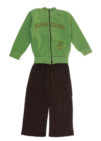 Зеленый демисезонный костюм (бомпер, брюки) Фламинго
