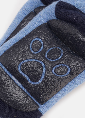 Світло-сині шкарпетки C&A персонажі зима (338614414)