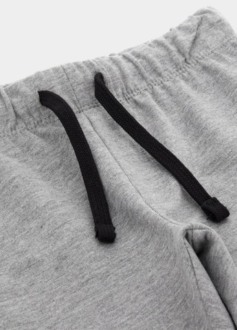 Серые спортивные демисезонные брюки джоггеры Original Marines