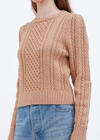 Темно-бежевий демісезонний джемпер джемпер J.Crew