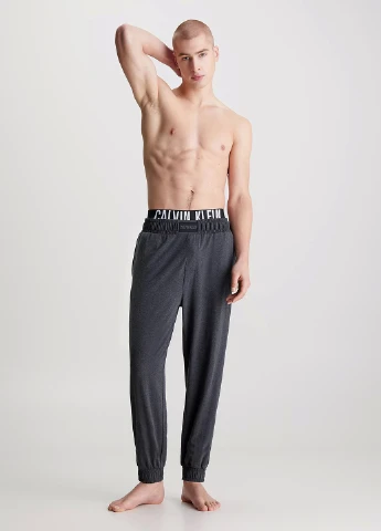 Темно-серые домашние демисезонные джоггеры брюки Calvin Klein Underwear