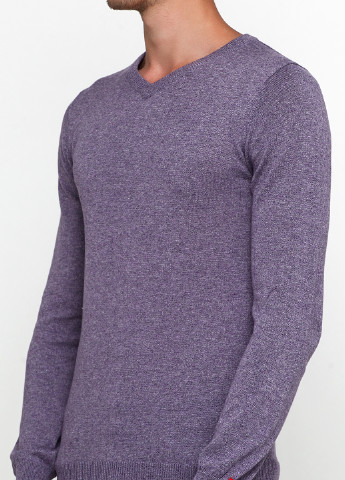 Бузковий демісезонний пуловер пуловер Castro