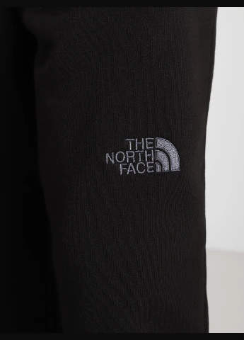 Штани NF0A4T1FJK31 The North Face NSE Light (327409080)