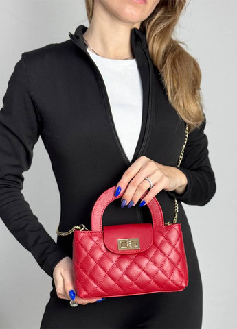 Сумка Bella Bertucci (322380498)