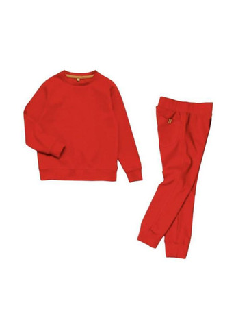Червоний демісезонний костюм (світшот, штани) брючний ArDoMi