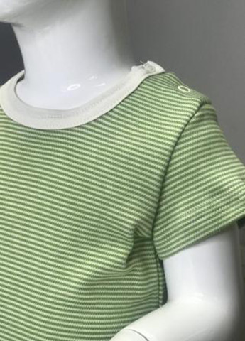 Боди ArDoMi (257755316)