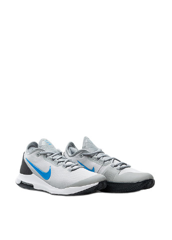 Сірі всесезон кросівки Nike Court Air Max Wildcard