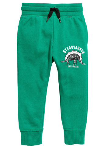 Зеленые спортивные демисезонные брюки джоггеры H&M
