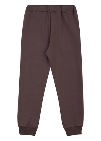 Коричневые спортивные демисезонные джоггеры брюки Garnamama