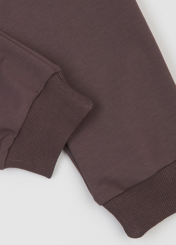 Коричневые спортивные демисезонные джоггеры брюки Garnamama