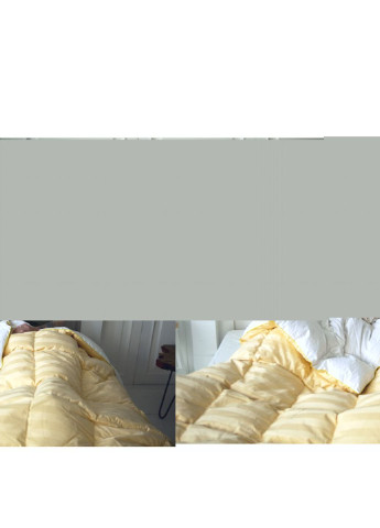 Одеяло пуховое Carmela 032 деми 110x140 см (2200000010841) Mirson (254076788)