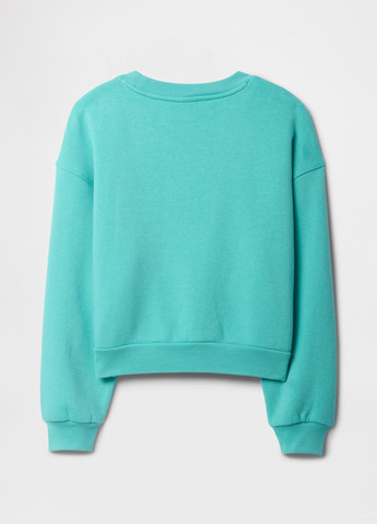 Gap свитшот логотип мятный спортивный, кэжуал хлопок, футер