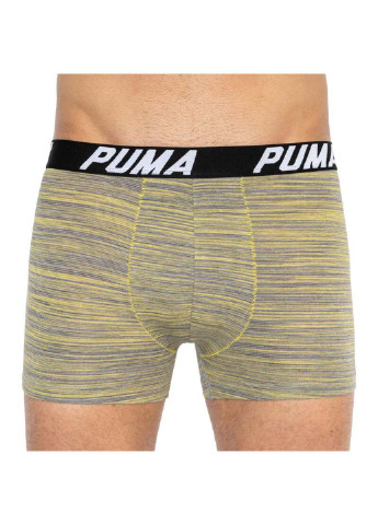 Трусы Puma bold stripe boxer 2-pack (253792657)