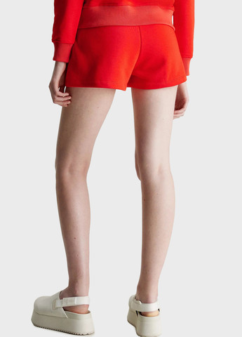 Шорти Calvin Klein Jeans (328000861)