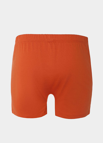 Трусы Promin (323777871)