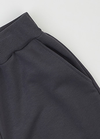 Темно-серые спортивные демисезонные джоггеры брюки Garnamama