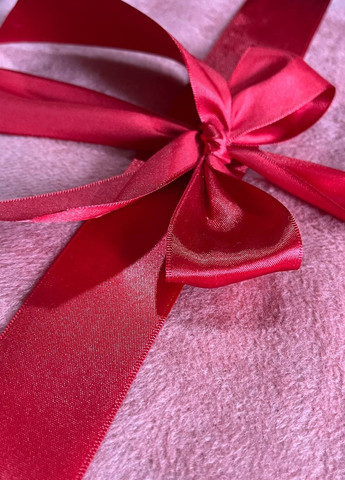 Плед, 178х115 см Garnet Hill (331868982)