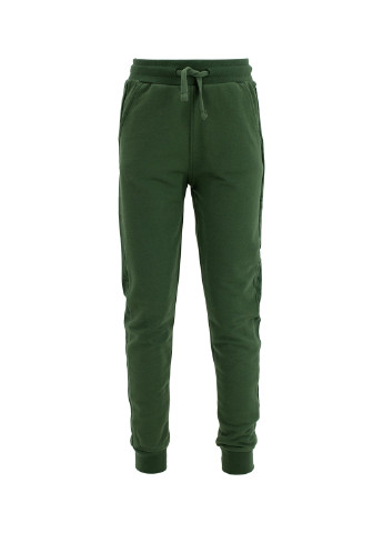 Зеленые спортивные демисезонные брюки джоггеры DeFacto