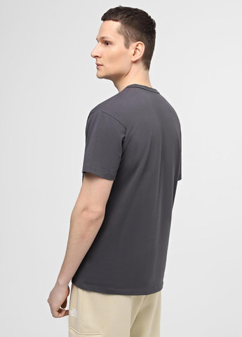 Сіра футболка Vans