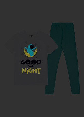 Комбинированная всесезон пижама (футболка, брюки) футболка + брюки Garnamama