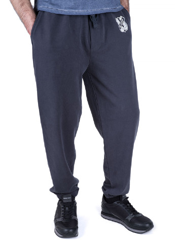 Темно-серые спортивные демисезонные прямые брюки Kitaro