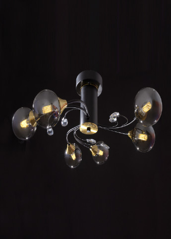 Стельова люстра BR-01 639C/6 G9 BK/G Brille (251891730)