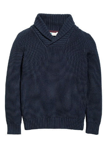 Темно-синий демисезонный свитер хомут H&M